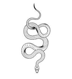 74 idee su Tatuaggio Serpenti nel 2024 .